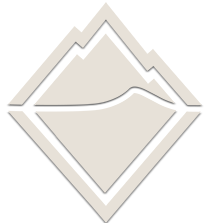 brian-jenkins-logo